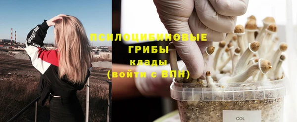 МДПВ Горняк