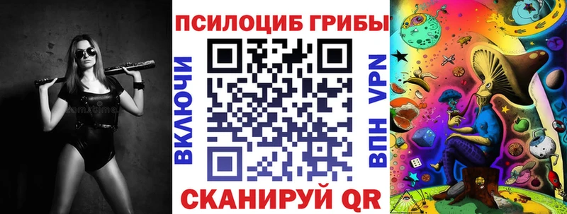Псилоцибиновые грибы мицелий  Буйнакск 