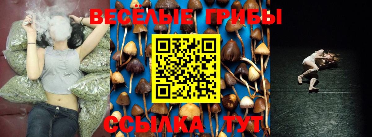 Галлюциногенные грибы прущие грибы  продажа наркотиков  Вход с VPN  Буйнакск  Псилоцибиновые грибы Magic Shrooms 