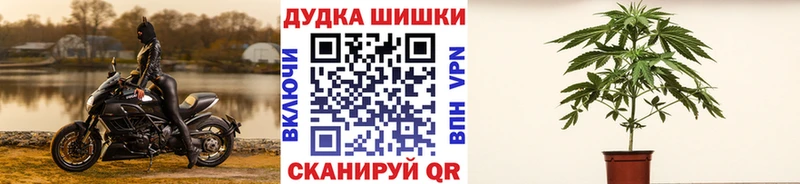 Канабис MAZAR  Буйнакск 