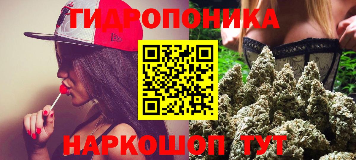 МЕФ Буйнакск